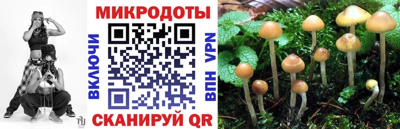 Галлюциногенные грибы Cubensis  Назрань 